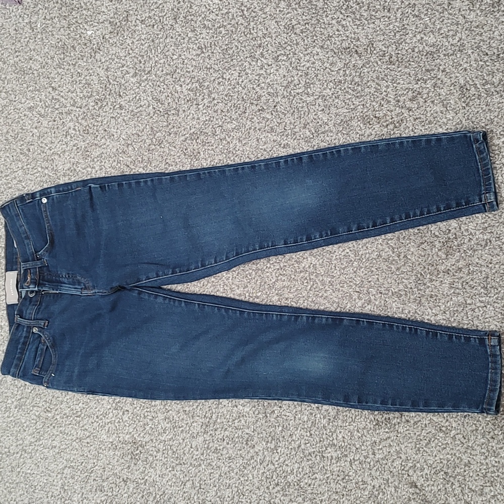 Everlane Skinny Jeans